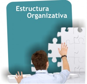 estructura_organizativa_gestion